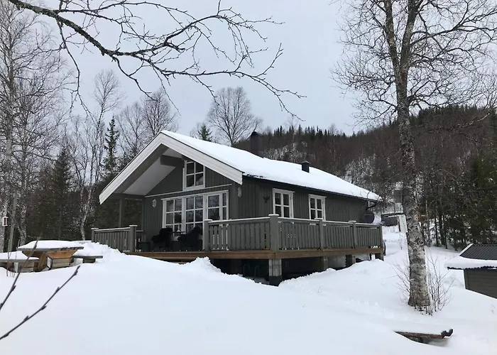 Tatil Evi 6 Person In Ballangen